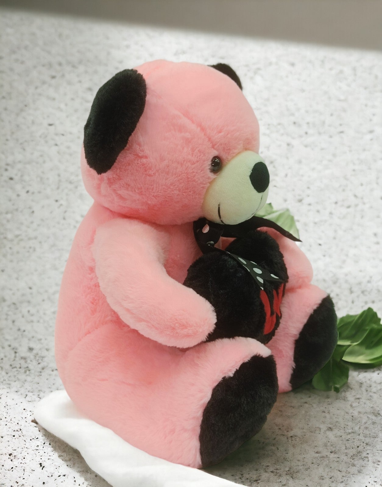 Teddy Bear with Heart