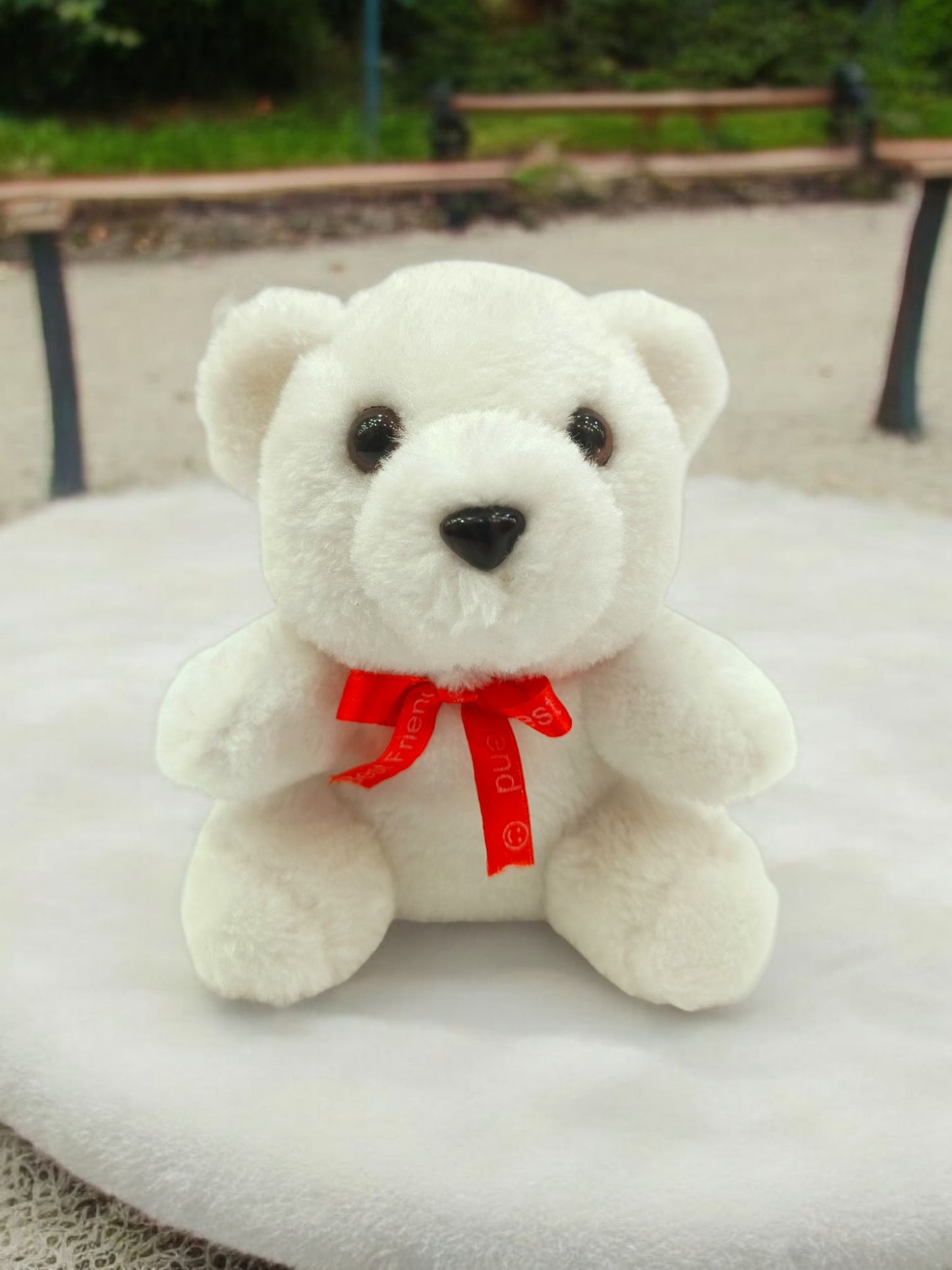 Mini Teddy Bear
