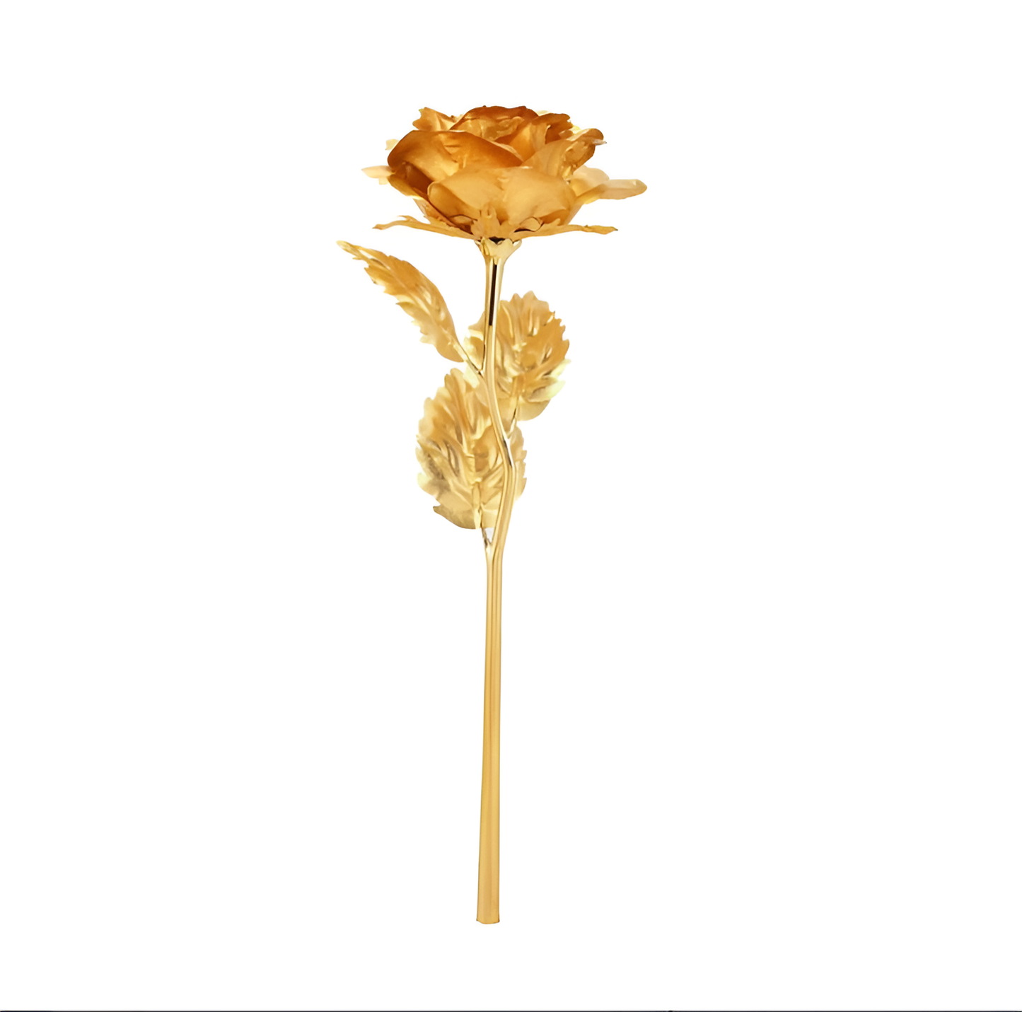 Everlasting Gold & Red Rose