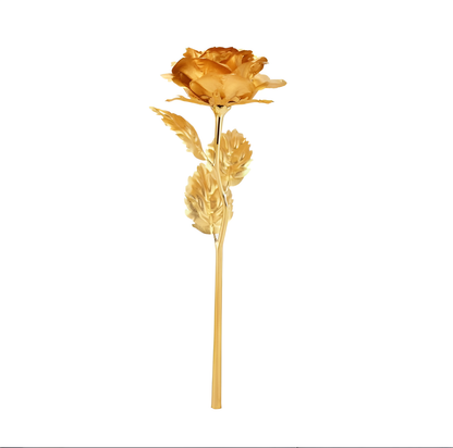 Everlasting Gold & Red Rose